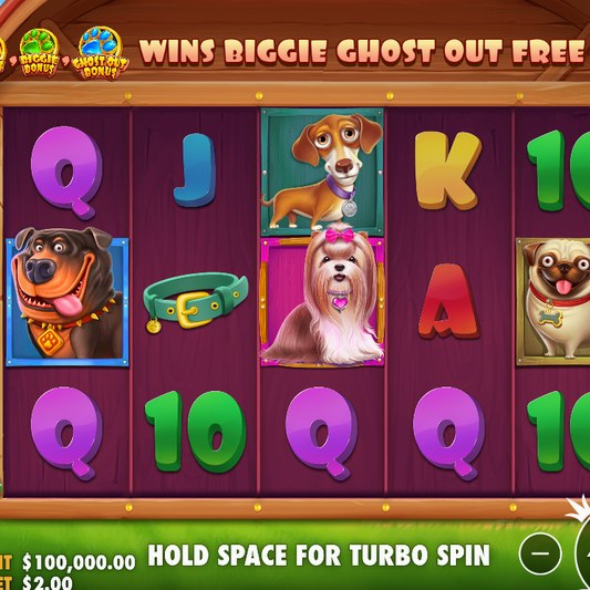 The Big Dog House